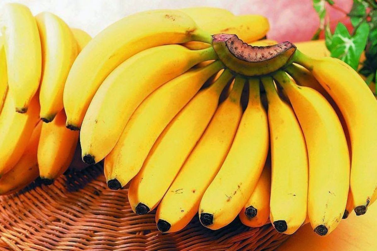 Chukua hiyo: Ndizi haziongezi maji maji (ute) ukeni