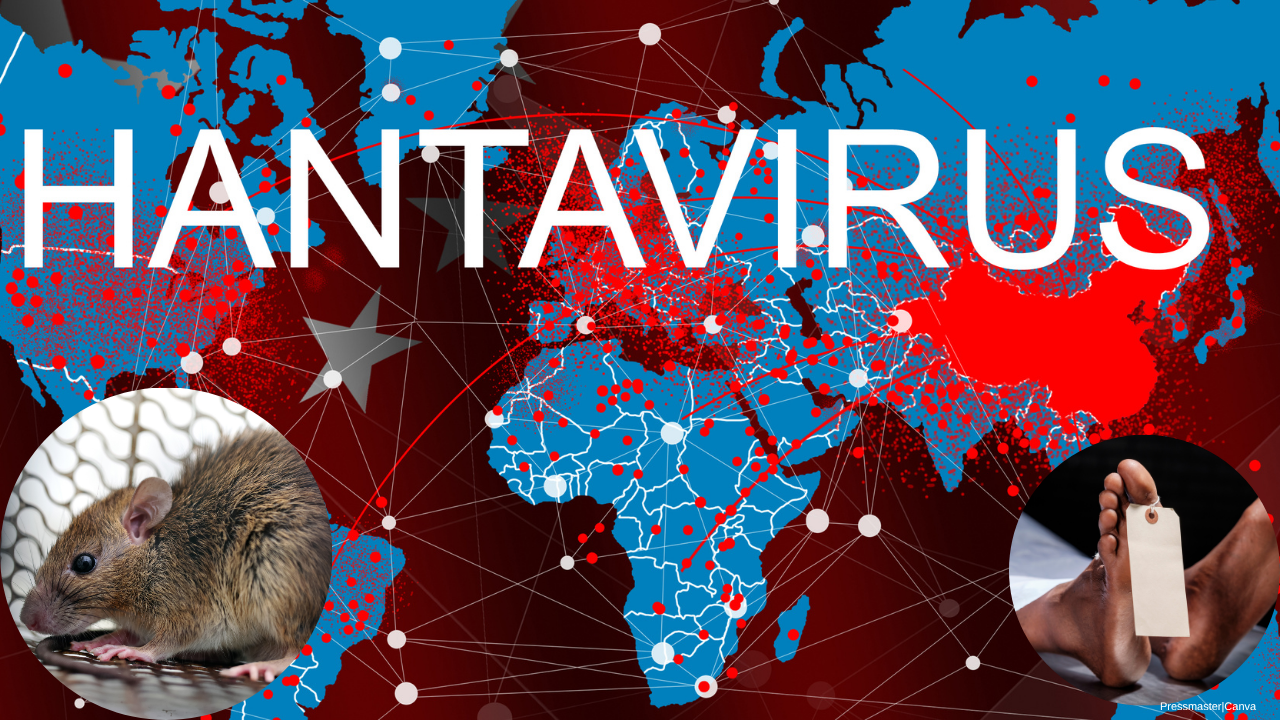 Watatu wafariki katika mlipuko wa ‘hantavirus’ ndani ya meli ya kitalii