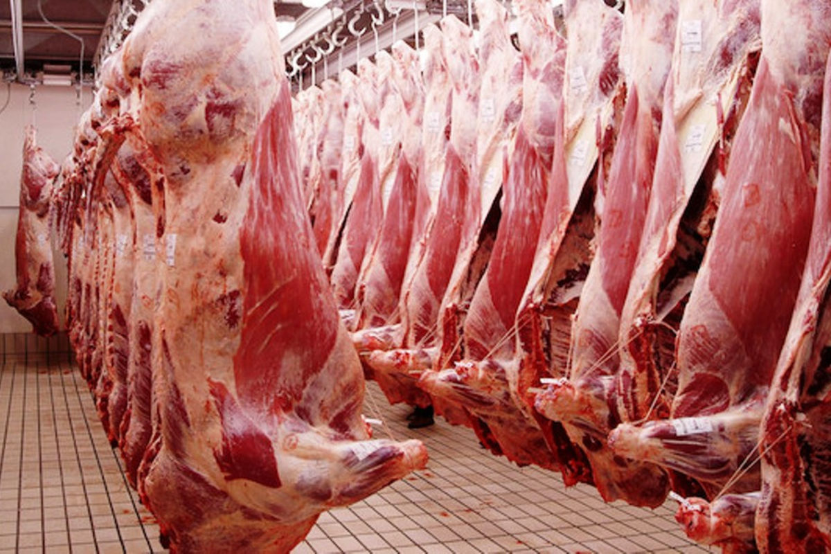 Tanzania yakusanya Sh142 bilioni, mauzo ya nyama nje ya nchi yakipaa 