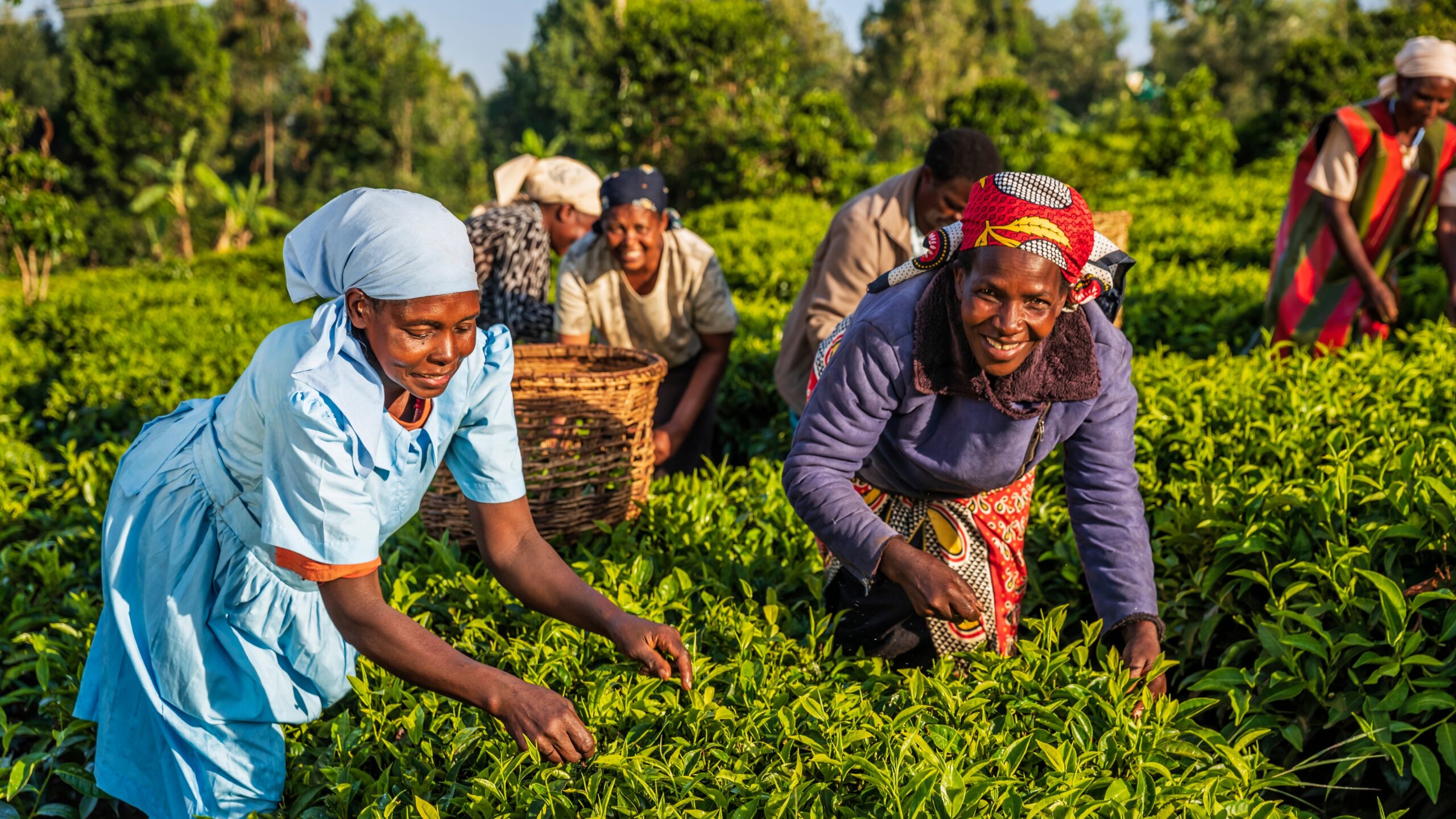 Ripoti: 46% ya  wanawake Tanzania wakabiliwa na vikwazo vya kiuchumi 